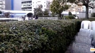 种子神器(高清露脸)驱车20公里操40 极品熟女